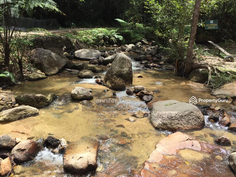 Limited plots with streams/river.