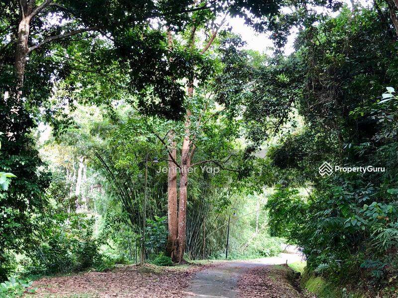 "Trees give peace the souls of men." ... Nora Wain