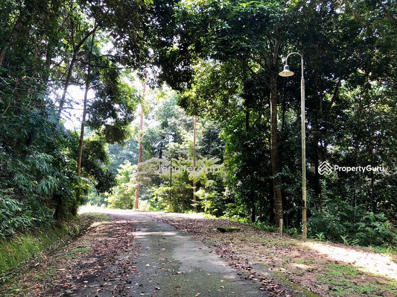 Tarred roads, lamp posts, power & water supply. 