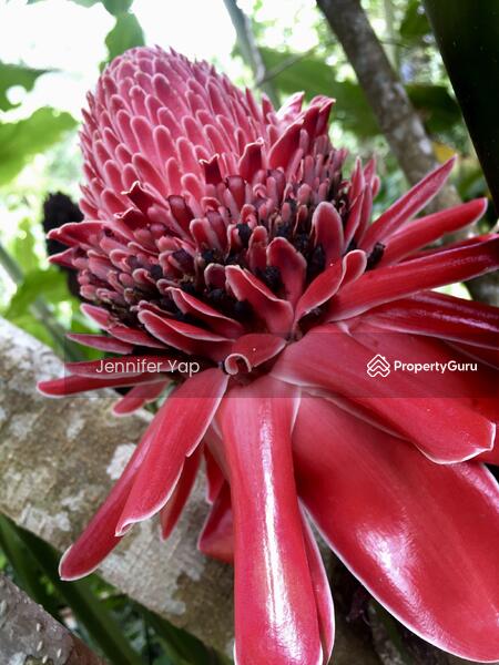 Be in nature to find beauty everywhere.