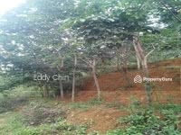 For Sale - Seremban, Kuala Pilah, Parit Tinggi