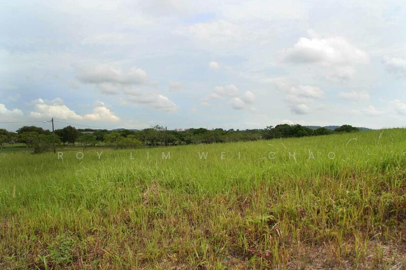 Residential Land for Sale in Leisure Farm (Gelang Patah) - Roy Lim Wei Chao - PropertyGuru.com.my