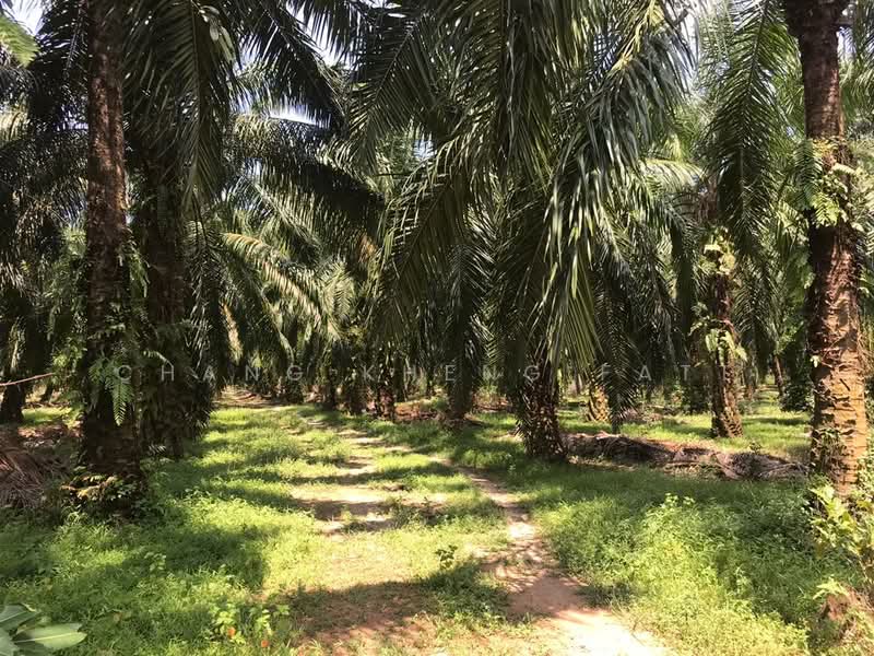 Agricultural Land for Sale in Kampung Teluk Mengkuang (Telok Panglima Garang) - Chang Kheng Fatt - PropertyGuru.com.my
