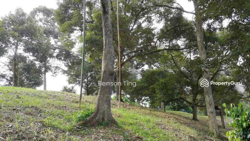 9.63ac Raub Musang King Orchard For Sale untuk Untuk Dijual - RM 8,800,000, Apr 2026 - PropertyGuru.com.my