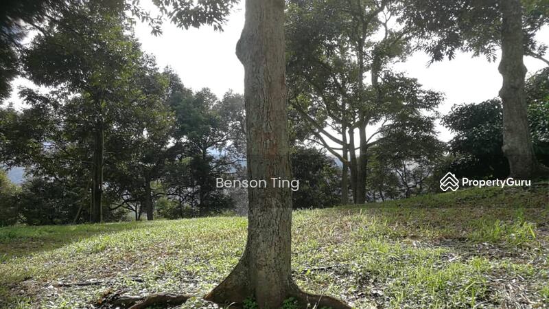 9.63ac Raub Musang King Orchard For Sale untuk Untuk Dijual - RM 8,800,000, Apr 2026 - PropertyGuru.com.my