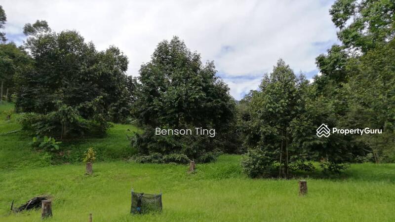 9.63ac Raub Musang King Orchard For Sale untuk Untuk Dijual - RM 8,800,000, Apr 2026 - PropertyGuru.com.my