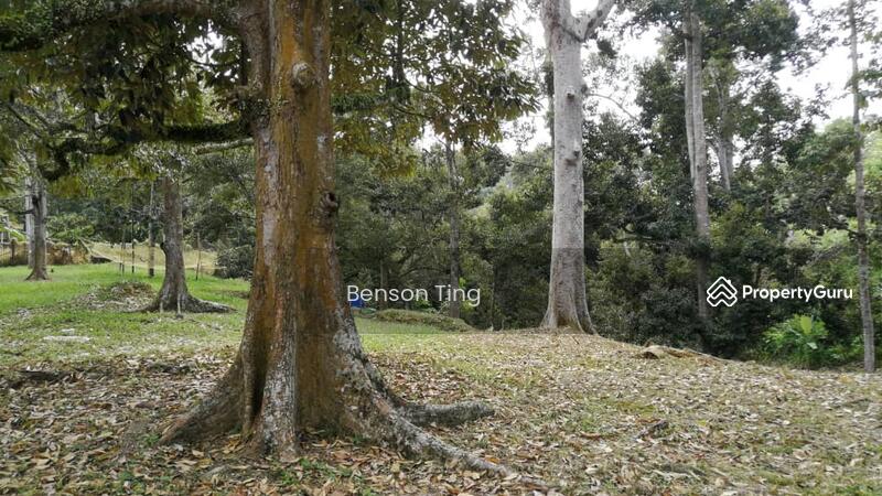 9.63ac Raub Musang King Orchard For Sale untuk Untuk Dijual - RM 8,800,000, Apr 2026 - PropertyGuru.com.my