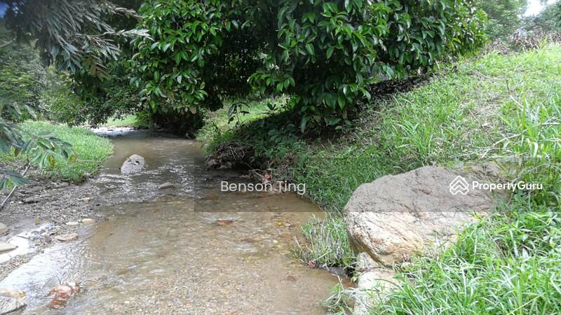 9.63ac Raub Musang King Orchard For Sale untuk Untuk Dijual - RM 8,800,000, Apr 2026 - PropertyGuru.com.my