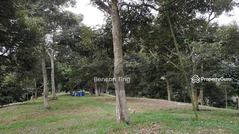 9.63ac Raub Musang King Orchard For Sale untuk Untuk Dijual - RM 8,800,000, Apr 2026 - PropertyGuru.com.my