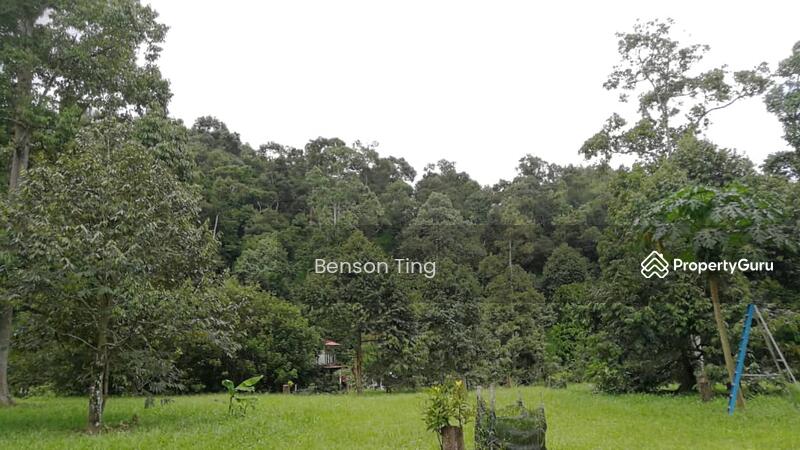 9.63ac Raub Musang King Orchard For Sale untuk Untuk Dijual - RM 8,800,000, Apr 2026 - PropertyGuru.com.my