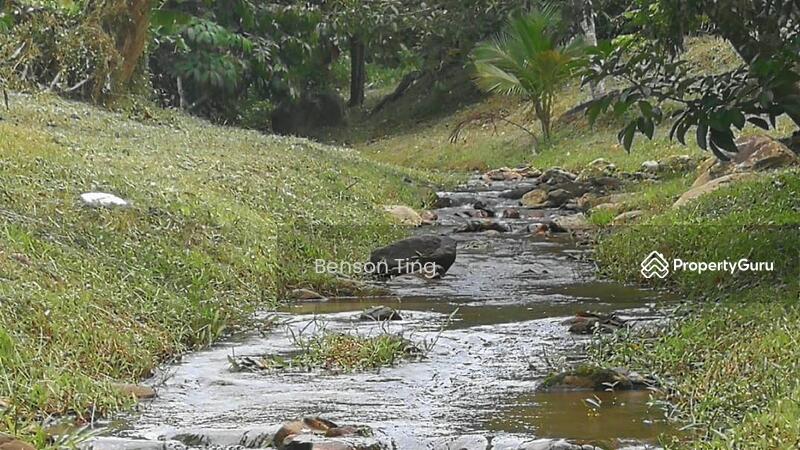 9.63ac Raub Musang King Orchard For Sale untuk Untuk Dijual - RM 8,800,000, Apr 2026 - PropertyGuru.com.my