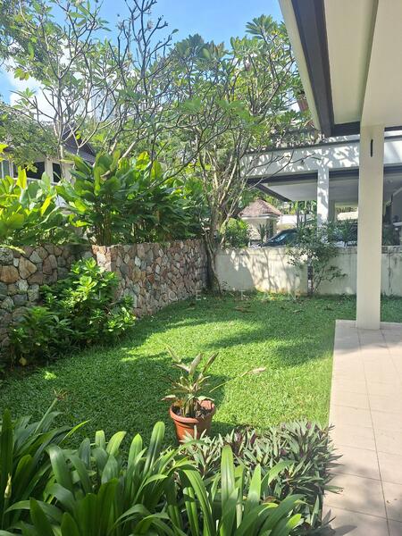 Untuk Dijual - Flora Murni