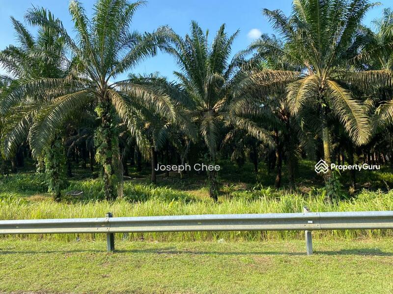 Agricultural Land KULAI, KULAI, Kulai, Johor, Agricultural Lands for