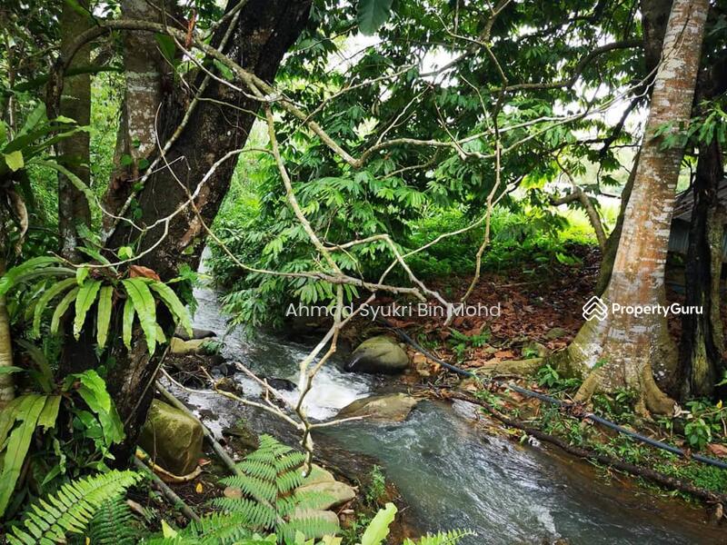 Tanah Pertanian Tepi Sungai Janda Baik Pahang Janda Baik Pahang Bentong Pahang Agricultural Lands For Sale By Ahmad Syukri Bin Mohd Rm 2 400 000 31606822