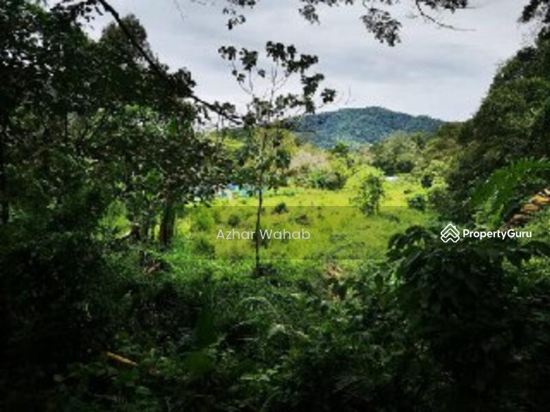 Tanah Pertanian di Tepi Sungai @Janda Baik, Kampung Janda Baik, Bentong