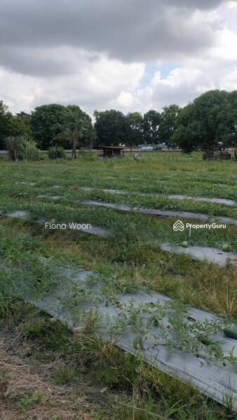 Untuk Dijual - Malay Reserved Land Bachang , Melaka