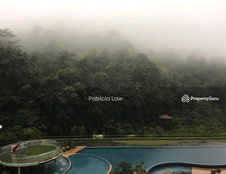 Misty after the rain