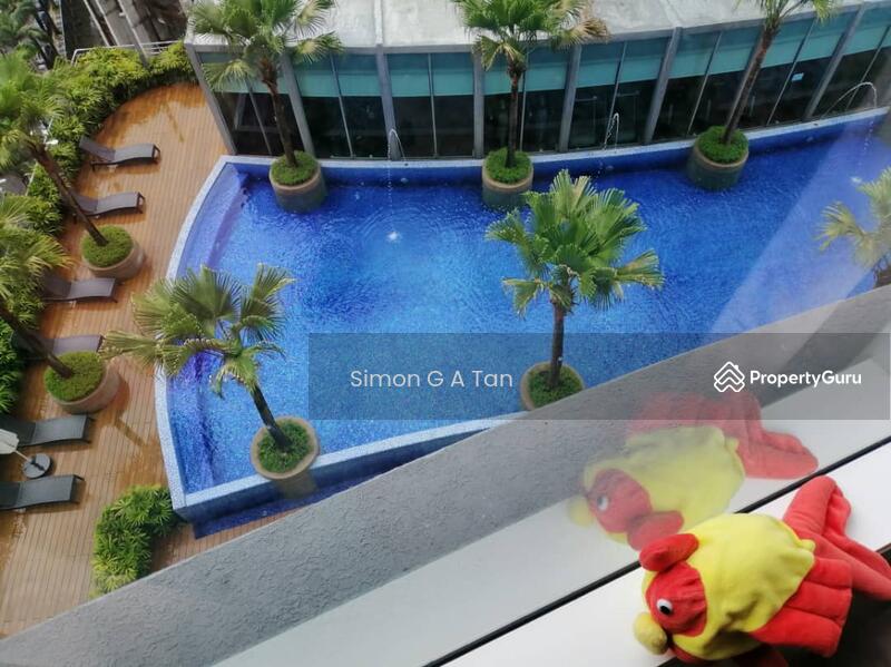 relaxing cool swimming pool view