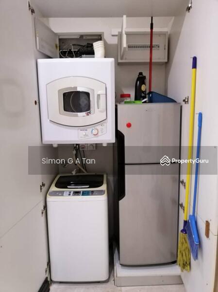 fridge freezer, washing machine, dryer in covered compartment