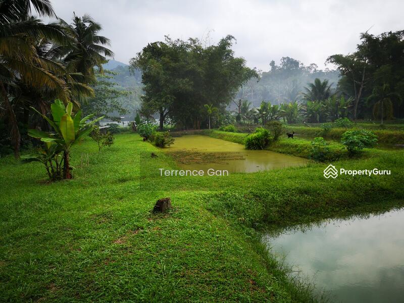 KANGKAR PULAI 5 ACRES LAND 金龙鱼 FISH FARMING 34 PONDS FREEHOLD LOCAL
