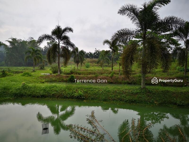 KANGKAR PULAI 5 ACRES LAND 金龙鱼 FISH FARMING 34 PONDS FREEHOLD LOCAL