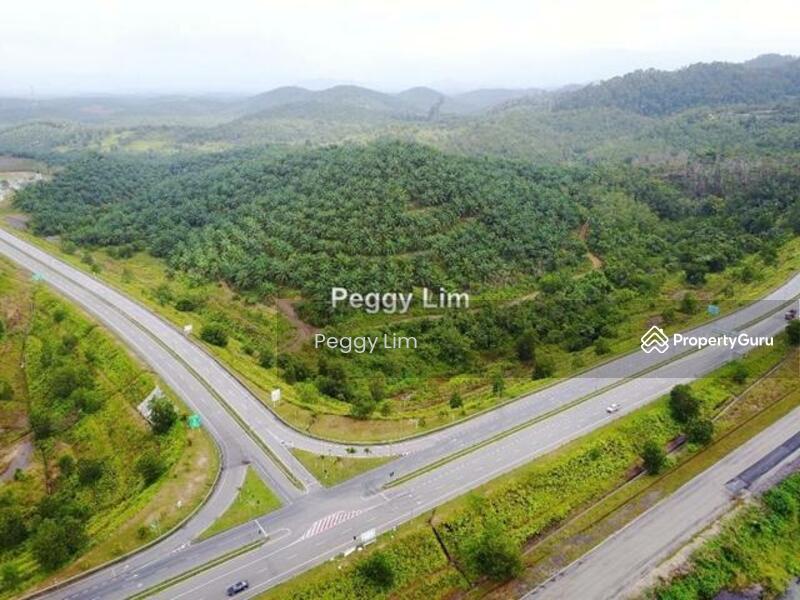 Agricultural Land for Sale in Maran (Pahang) - Peggy Lim - PropertyGuru.com.my