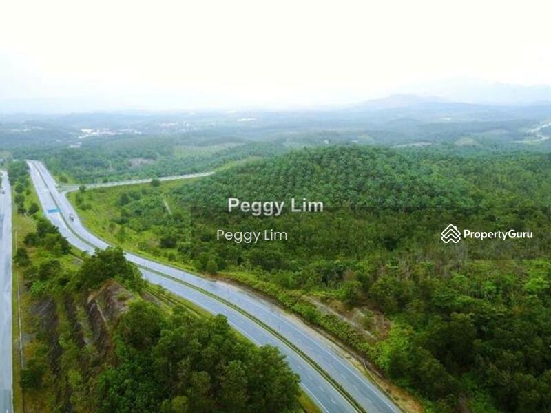 Agricultural Land for Sale in Maran (Pahang) - Peggy Lim - PropertyGuru.com.my