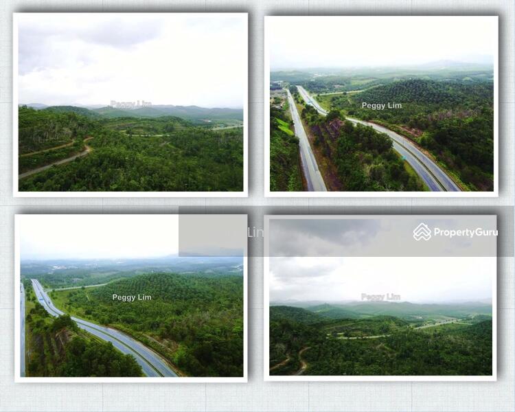 Agricultural Land for Sale in Maran (Pahang) - Peggy Lim - PropertyGuru.com.my