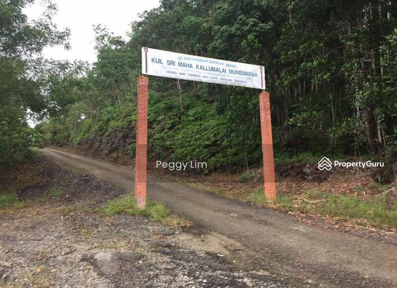 Agricultural Land for Sale in Maran (Pahang) - Peggy Lim - PropertyGuru.com.my