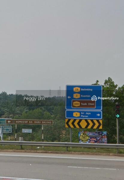 Agricultural Land for Sale in Maran (Pahang) - Peggy Lim - PropertyGuru.com.my