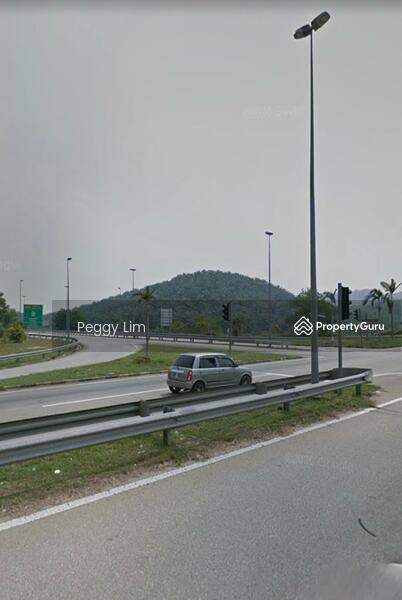 Agricultural Land for Sale in Maran (Pahang) - Peggy Lim - PropertyGuru.com.my