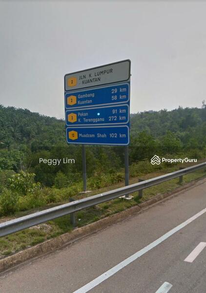 Agricultural Land for Sale in Maran (Pahang) - Peggy Lim - PropertyGuru.com.my