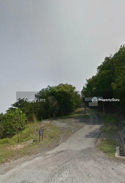 Agricultural Land for Sale in Maran (Pahang) - Peggy Lim - PropertyGuru.com.my