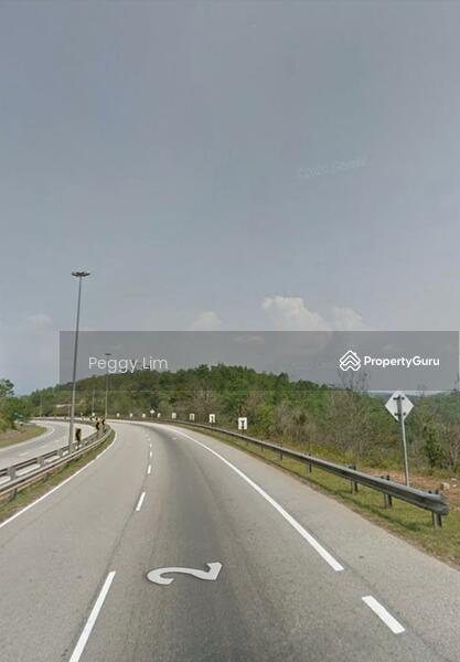 Agricultural Land for Sale in Maran (Pahang) - Peggy Lim - PropertyGuru.com.my