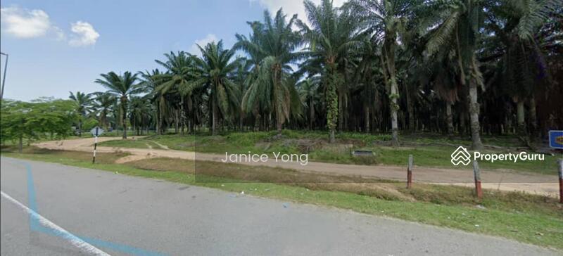 Melaka Merlimau Melaka Merlimau Merlimau Melaka Agricultural Lands For Sale By Janice Yong Rm 16 552 800 31959699