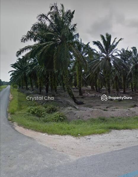 Johor kukup untuk dijual @ Kukup, Pontian, Johor, Tanah Pertanian 