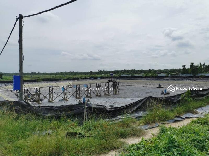 Selangor Carey Island Untuk Dijual Carey Island Kuala Langat Selangor Tanah Pertanian Dari Harga Rm 53 000 000 Propertyguru Malaysia