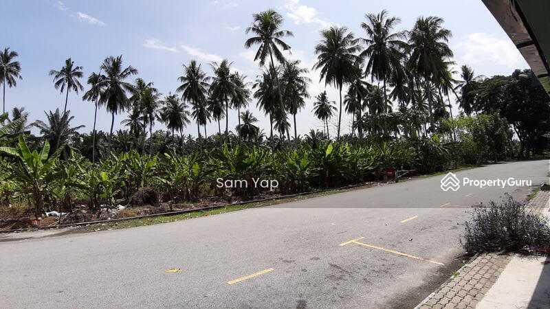 Untuk Disewa - 2.656 acres, Jalan Kapar Batu 13