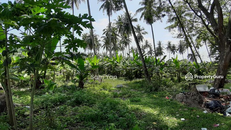 Untuk Disewa - 2.656 acres, Jalan Kapar Batu 13