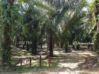 For Sale - Agriculture Land at Parit, Perak
