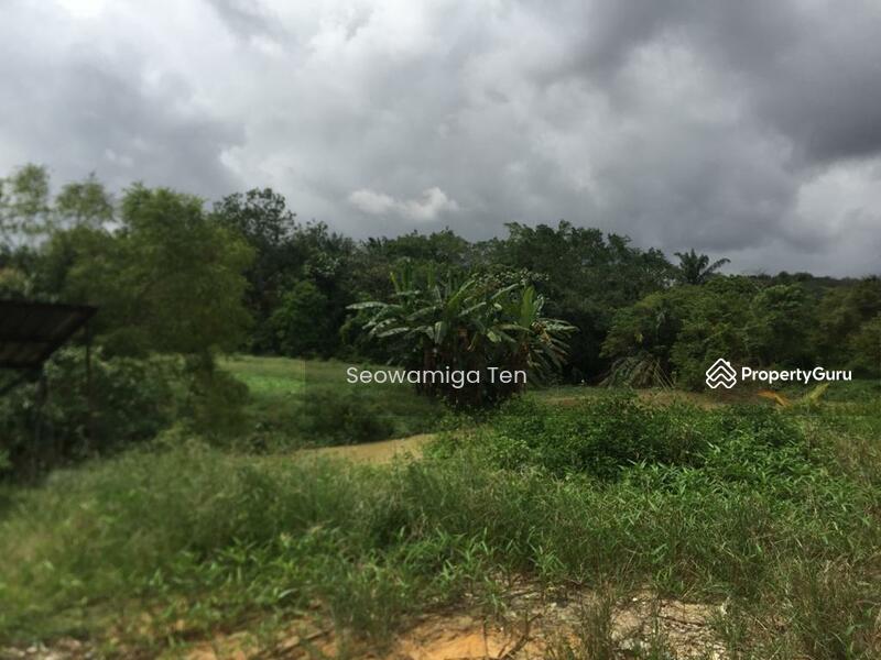 [No Longer Available] (Small Vegetable Farm)5 Acres At Impian Emas
