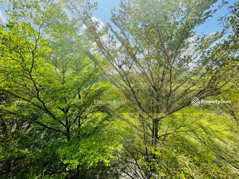 Untuk Dijual - casabella, kota damansara, tropicana