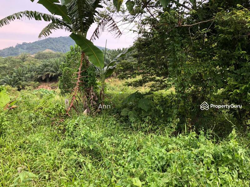 Semenyih Agriculture land for rent, Semenyih, Selangor, Agricultural