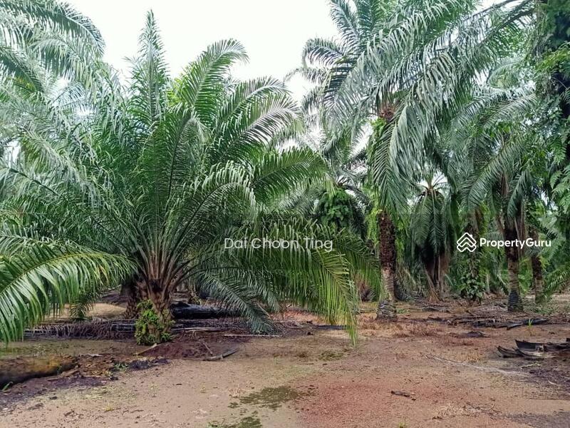 Kukup untuk Untuk Dijual - RM 4,995,000, Mac 2026 - PropertyGuru.com.my