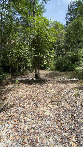 SURROUNDING LAND