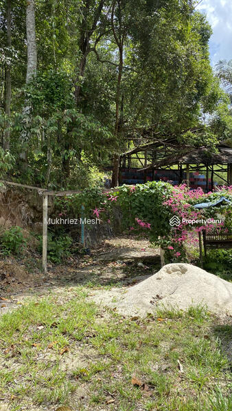 SURROUNDING LAND