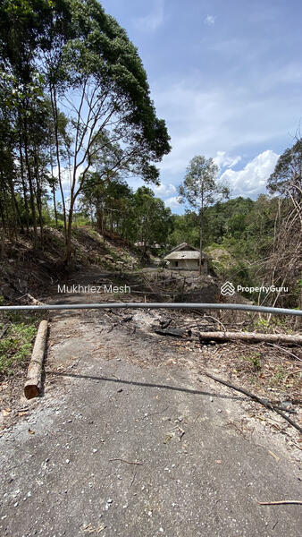 LAND BORDER
