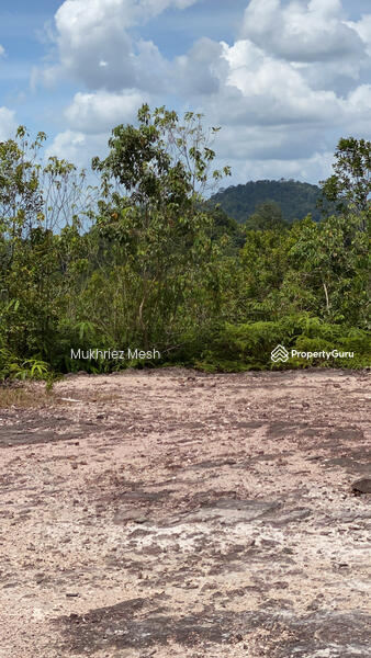 LAND CLEARANCE HILL TOP