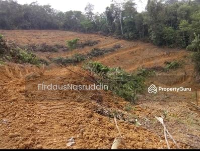 45 Tanah Pertanian Untuk Dijual Di Kuala Pilah Negeri Sembilan Propertyguru Malaysia