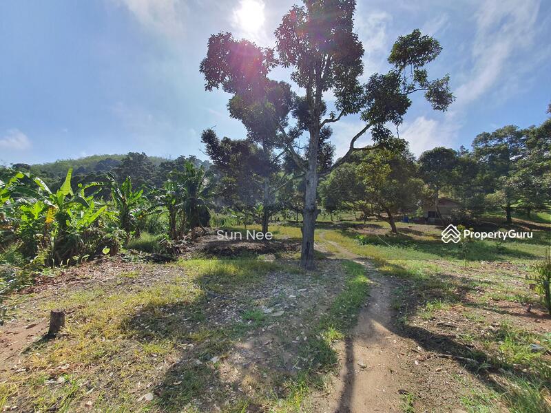 No Longer Available 10 Acres Old Duruan Tree Petaling Titi Jalan Petaling Kuala Klawang Jelebu Negeri Sembilan Agricultural Lands For Sale By Sun Nee Rm 3 700 000 32474566